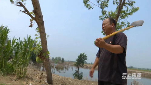 老驥伏櫪,永恒初心 記內(nèi)黃縣二安鎮(zhèn)大劉村黨支部書記馬文忠