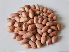 食物營養冠軍榜——干果 小小的能量庫，大大的健康寶