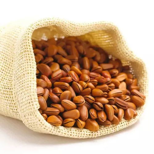 大雪時節養生，干果助您暖身又滋補